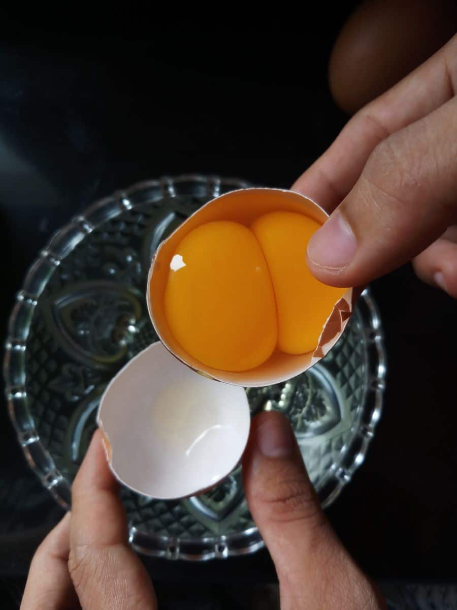 two yolks in one egg meaning in islam