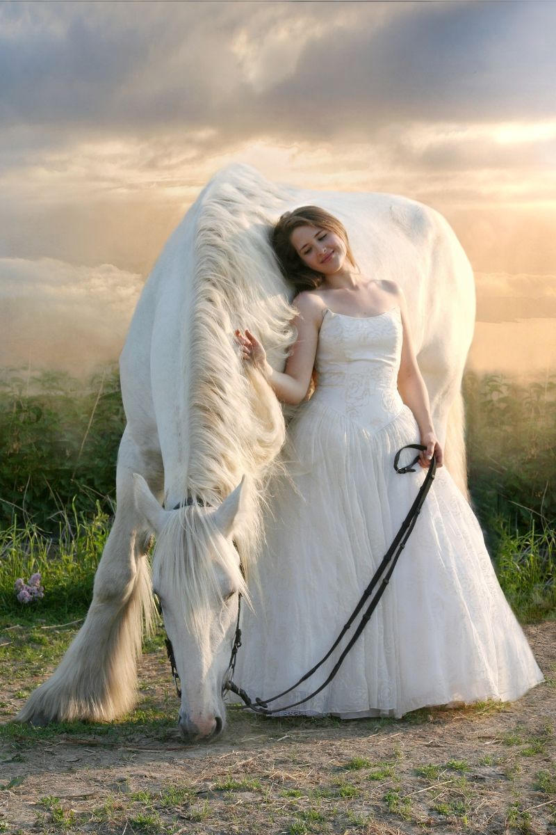 dream of white horse