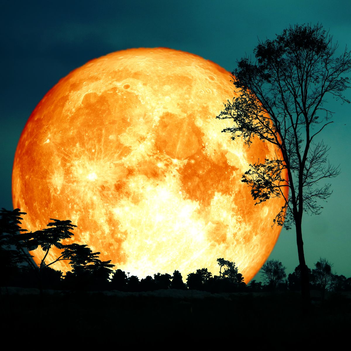 orange moon meaning