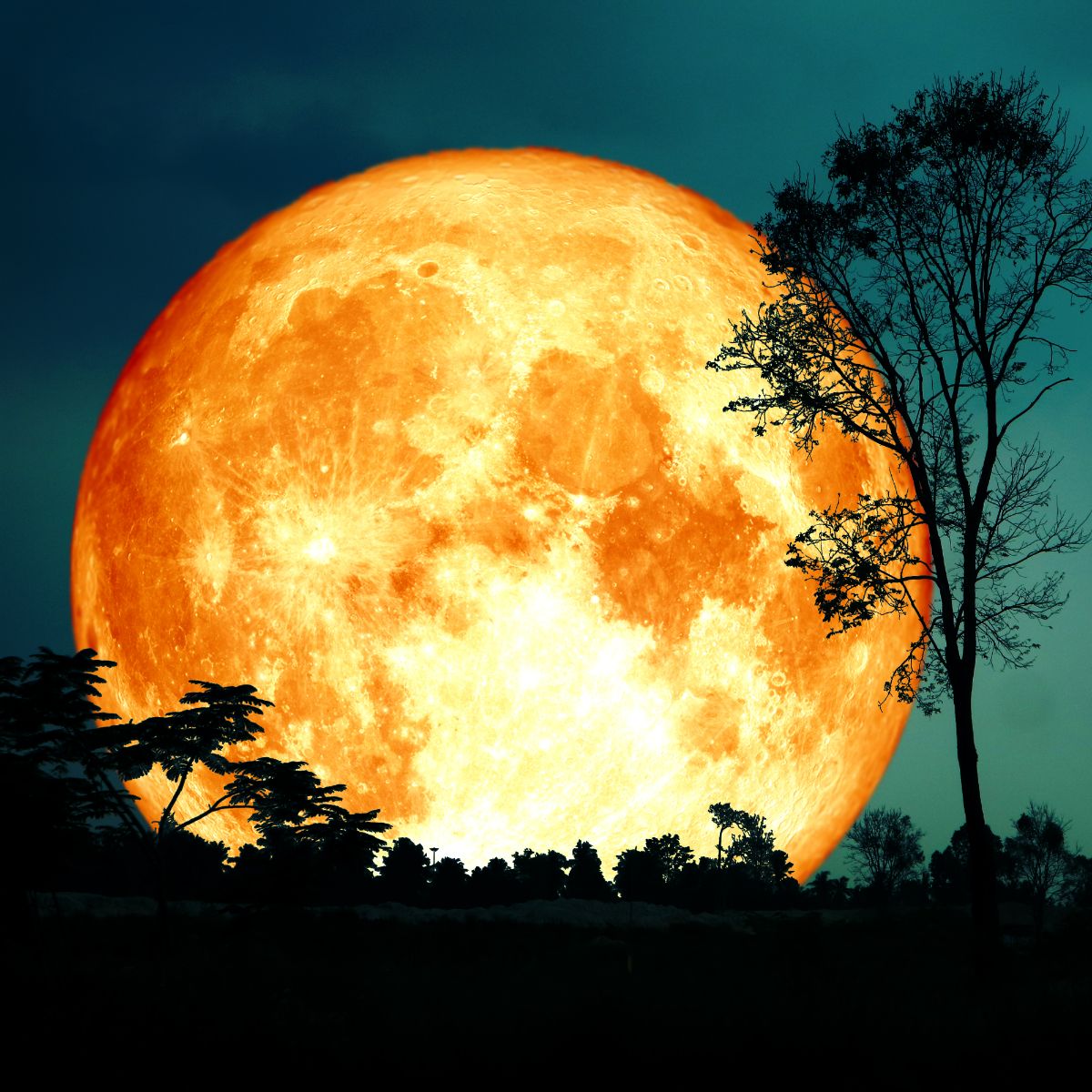 Can't Sleep Full Moon Spiritual Meaning