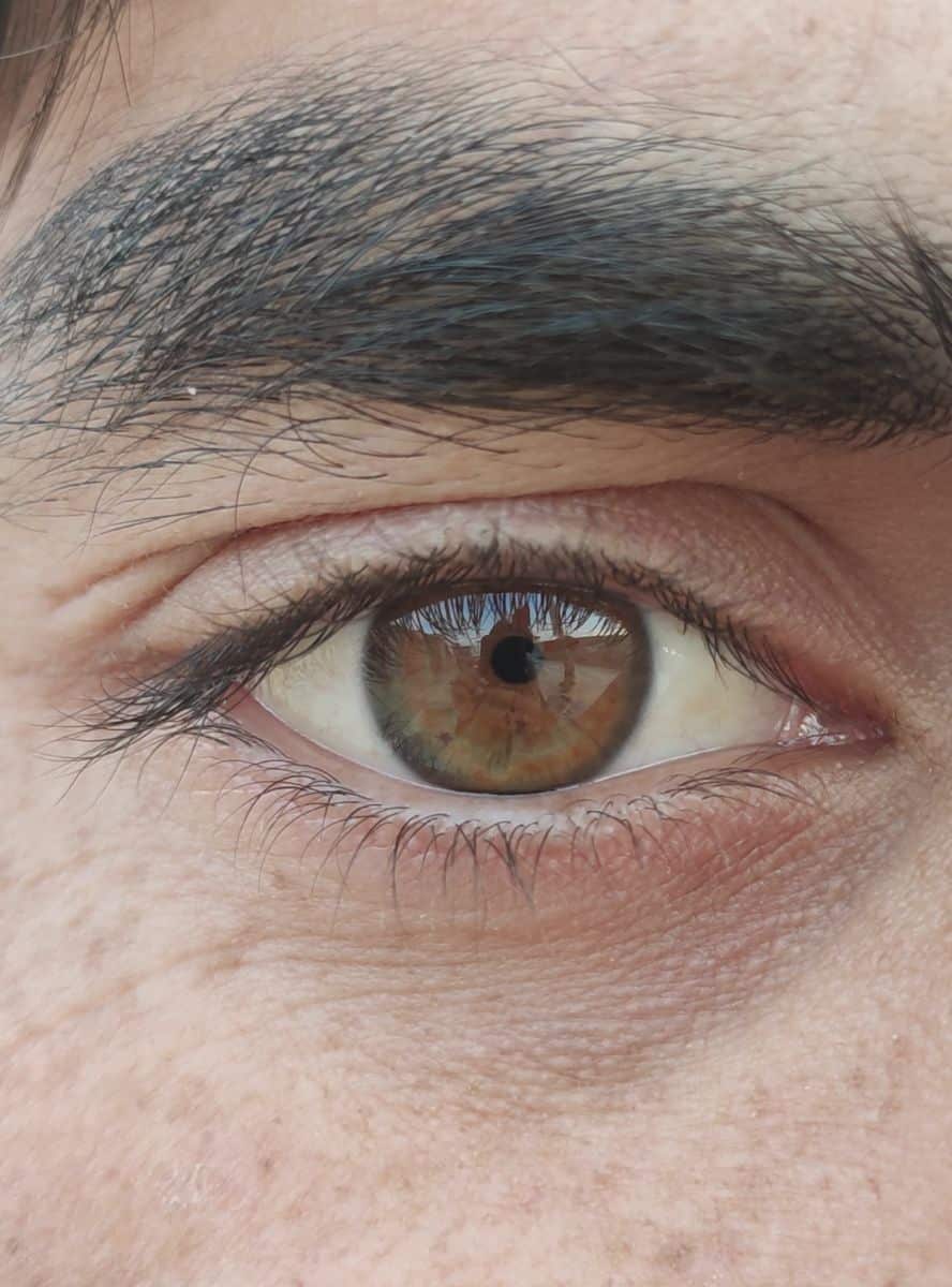 hazel definition eyes