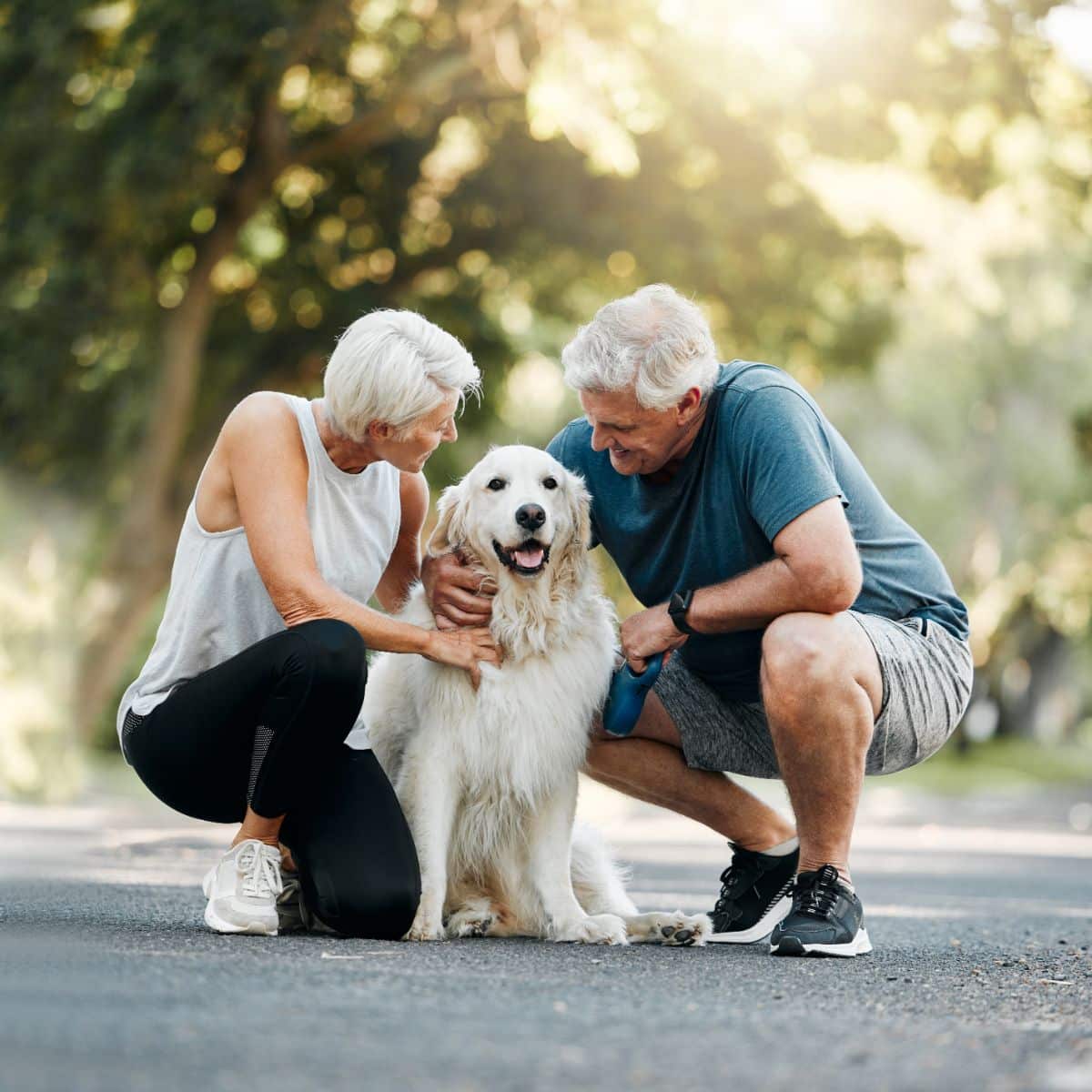 Spiritual Meaning Of Dog Peeing On You