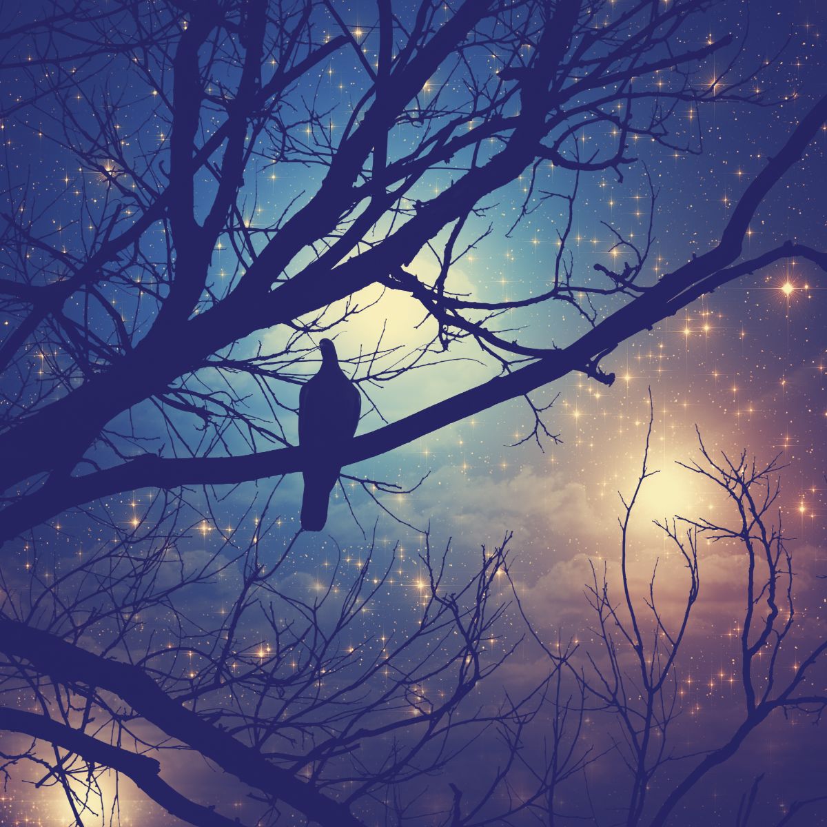 birds chirping at night meaning