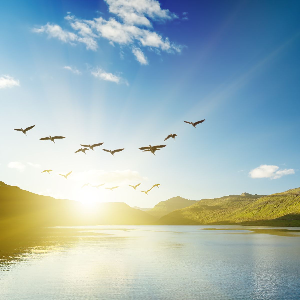 spiritual meaning of birds flying around you