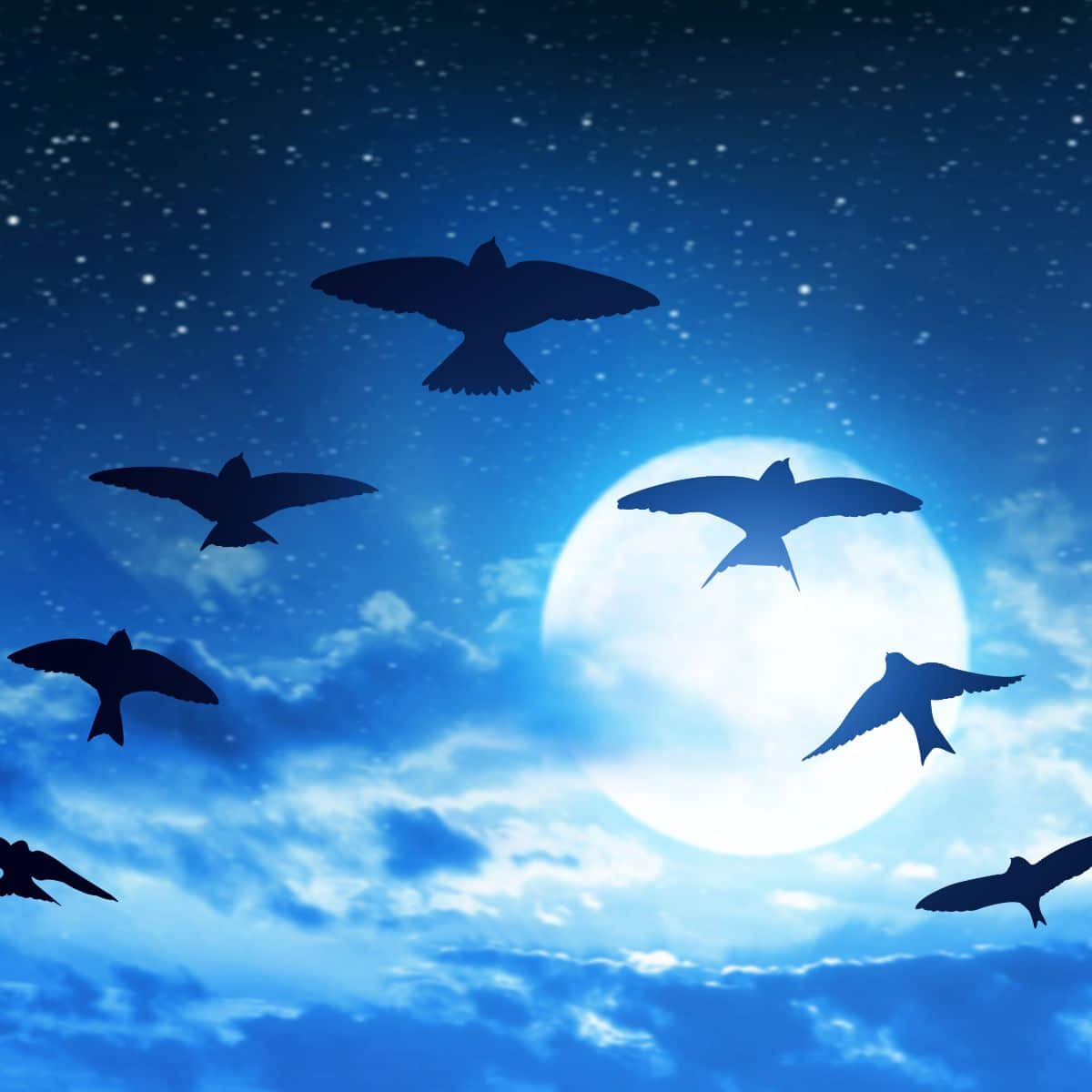 spiritual meaning of birds flying in front of you