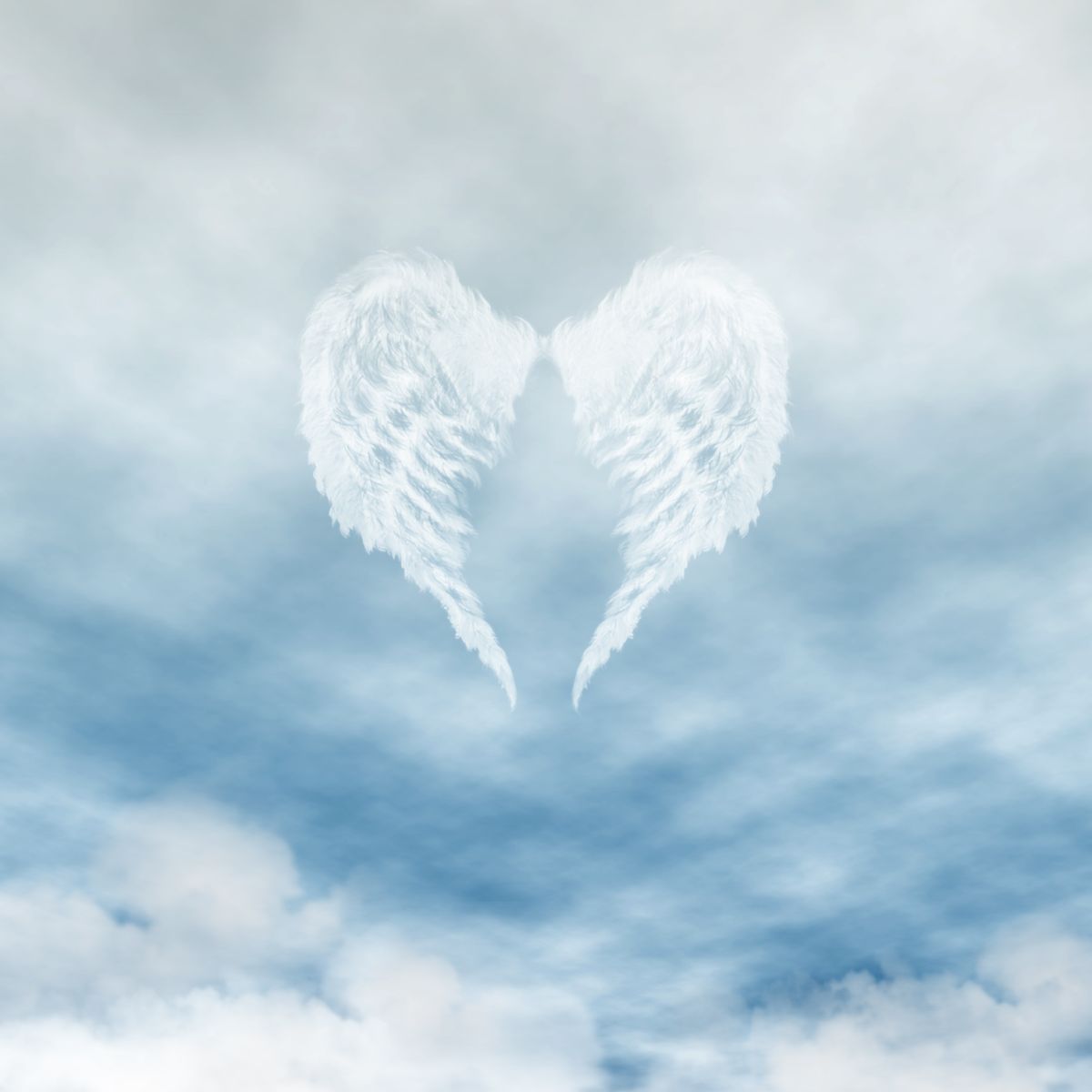 Spiritual Meaning Of Angel Wings