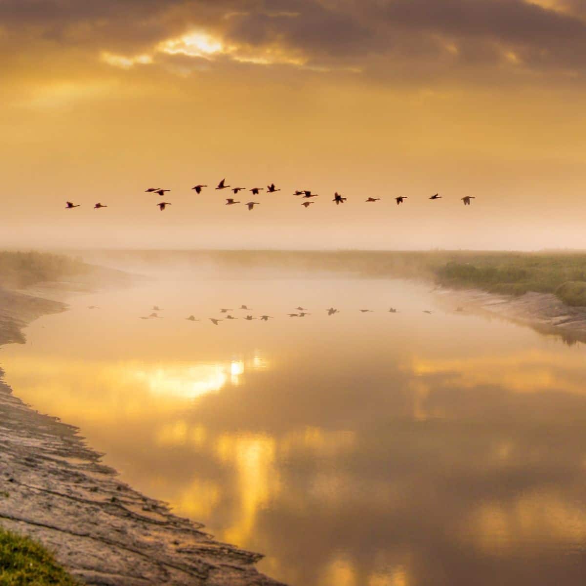 hearing geese at night meaning